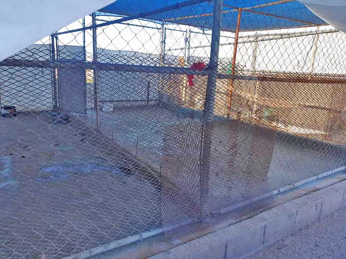 Las jaulas de la perrera de Mexicali quedaron vacías. Foto: Patitas Callejeras A.C.