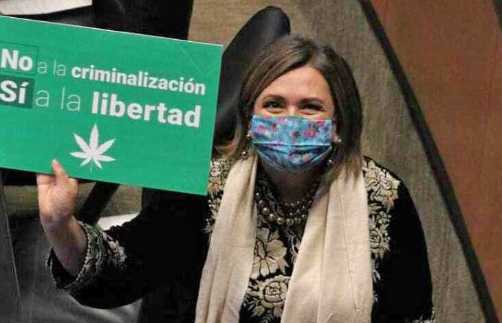 Senadora a favor de los mariguanos.