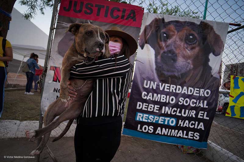 Manifestante abrazando a un perro. Foto: Víctor Medina.
