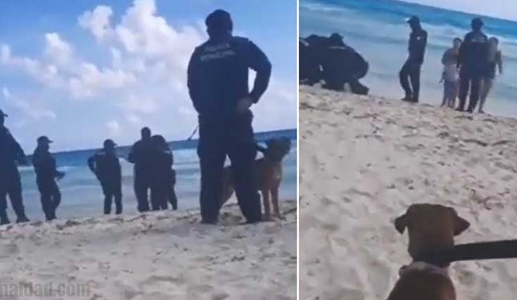 Policías someten a hombre por pasear a su perro.