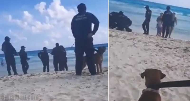 Policías someten a hombre por pasear a su perro.