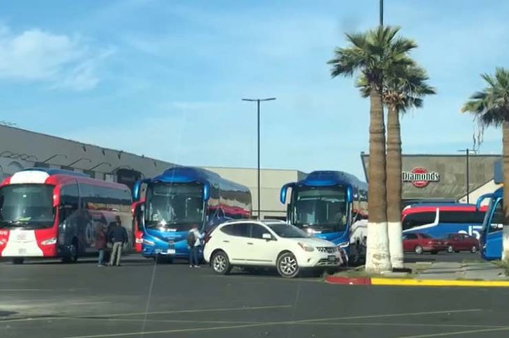 Autobuses para acarreados de Morena en Mexicali.