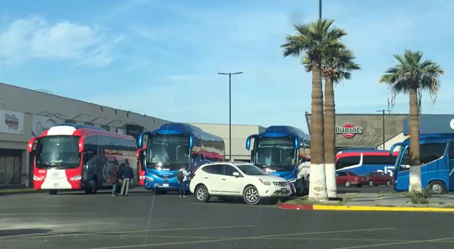 Autobuses para acarreados de Morena en Mexicali.
