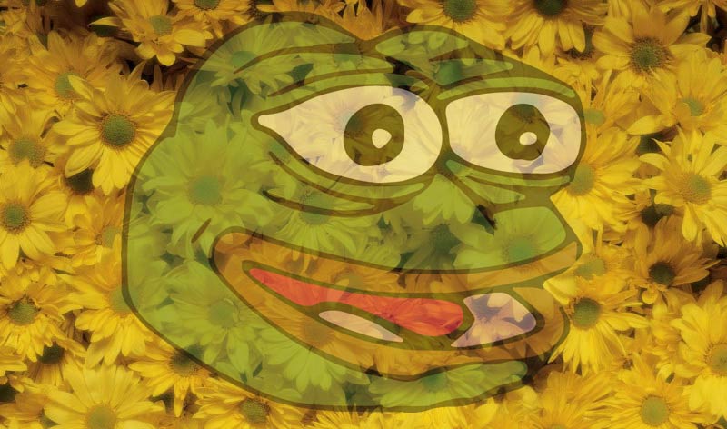 Meme de las flores amarillas con la rana Pepe.