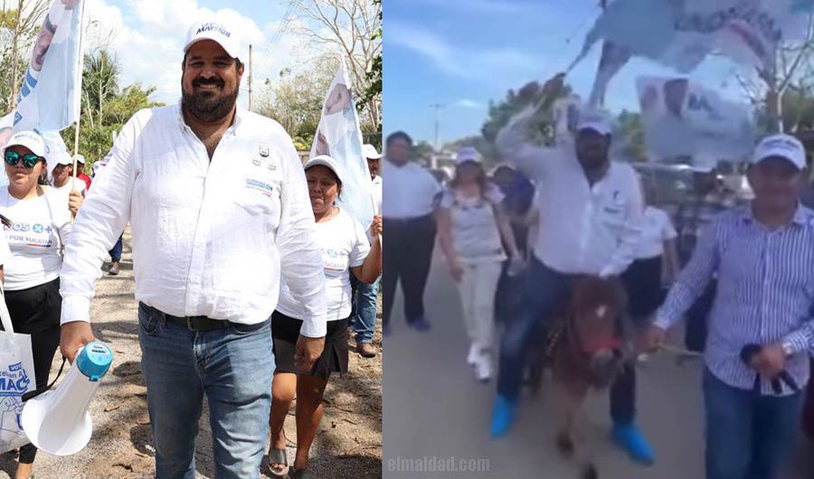 El candidato Macari, hombre alto y con sobrepeso montó un pony en campaña.