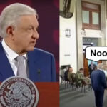 AMLO frenó a Rosa Icela.