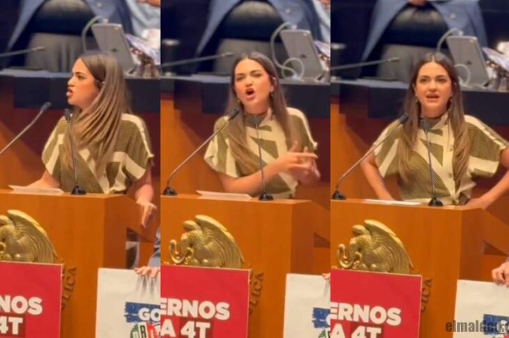 Andrea Chávez en la tribuna del senado.