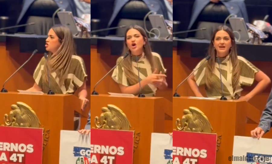 Andrea Chávez en la tribuna del senado.