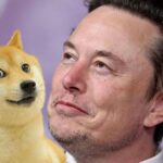 Doge y Elon Musk.