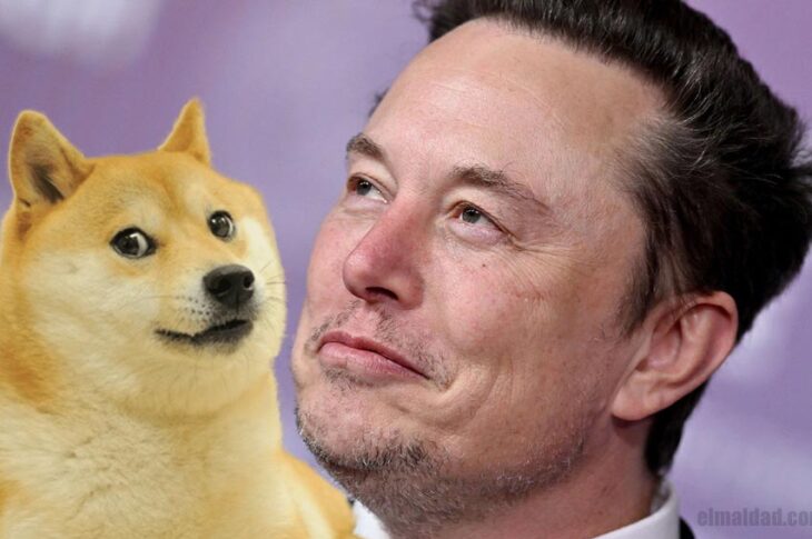 Doge y Elon Musk.