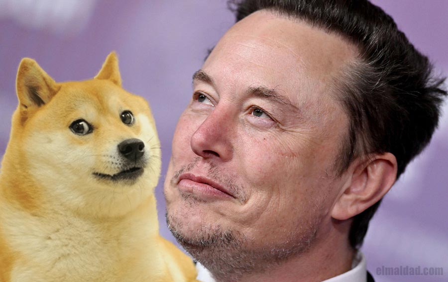 Doge y Elon Musk.