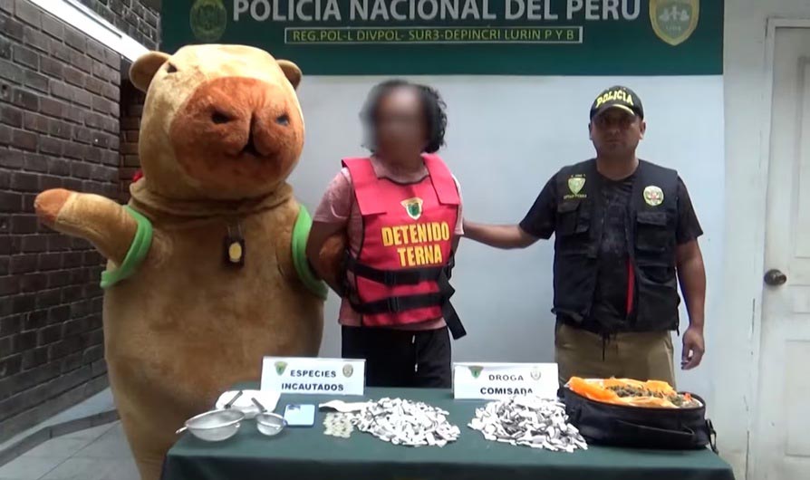 La capibara policía.