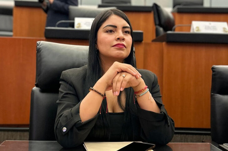 Diputada Cintia Cuevas.