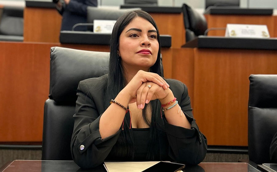Diputada Cintia Cuevas.