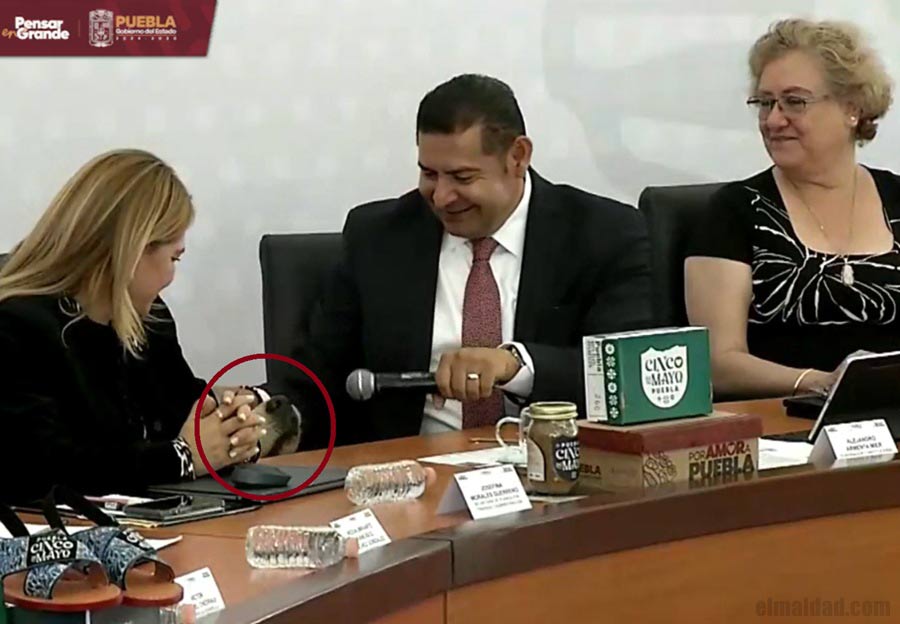 Tommy y Arturo Armenta.