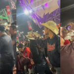 Capturas de pantalla del metraje que circula en redes sociales del nido.