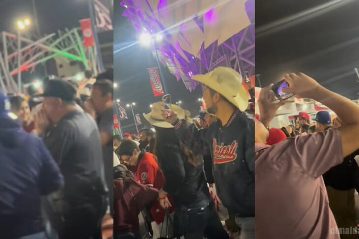 Capturas de pantalla del metraje que circula en redes sociales del nido.