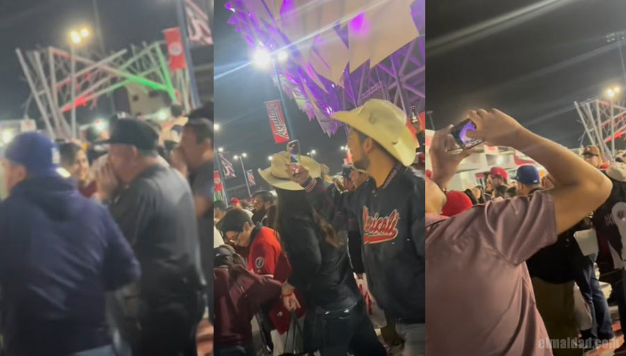 Capturas de pantalla del metraje que circula en redes sociales del nido.