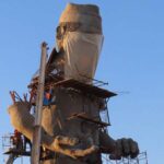 Cochinero chino. Foto: Daniel Resendiz.