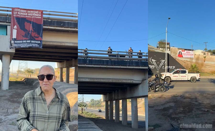 Capturas de pantalla del live de la Célula de Búsqueda.