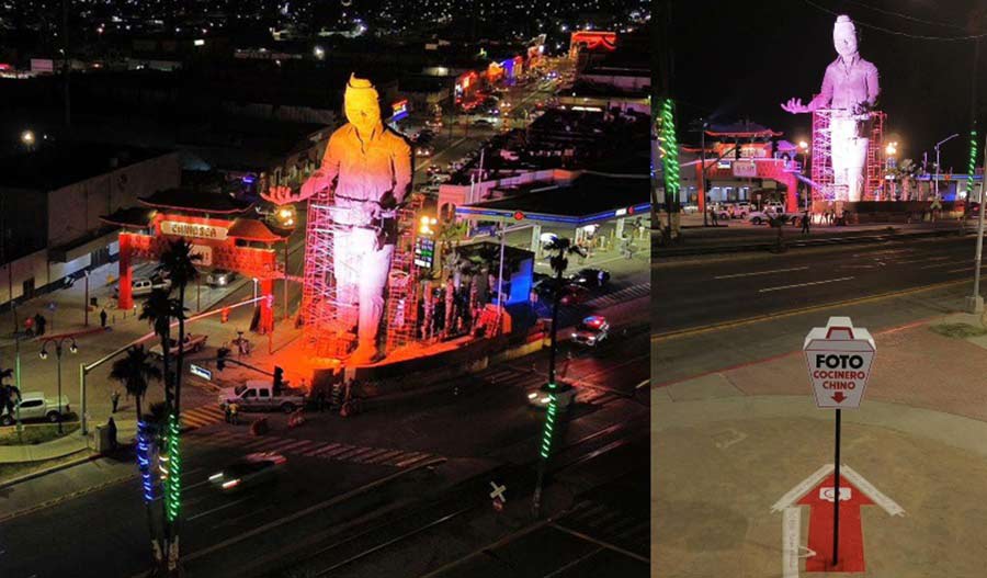 Cochinero chino. Fotos: MF Noticias Mexicali.