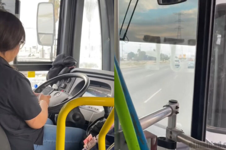 La chofer imprudente.