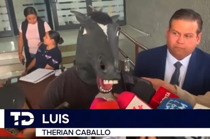 Captura de pantalla del reportaje de TeleDiario. Luis se identifica como caballo.