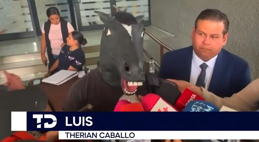 Captura de pantalla del reportaje de TeleDiario. Luis se identifica como caballo.