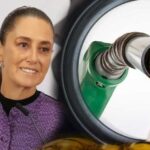 Claudia Sheinbaum dice que echen magna.