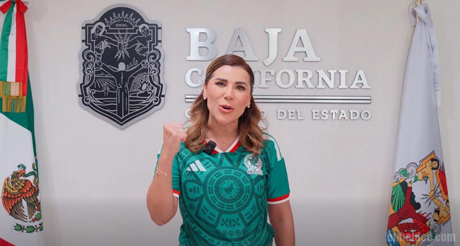 Captura de pantalla del comunicado de Marina del Pilar.