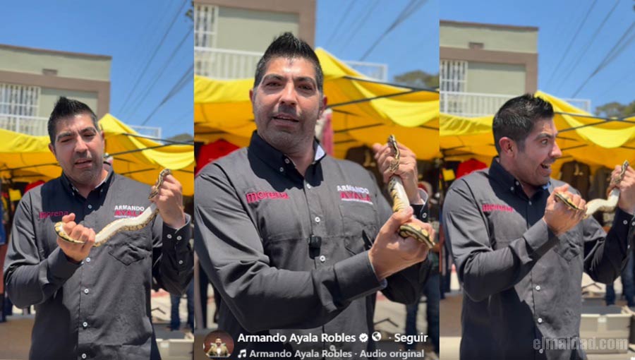 Armando Ayala con la víborilla en sus manos.