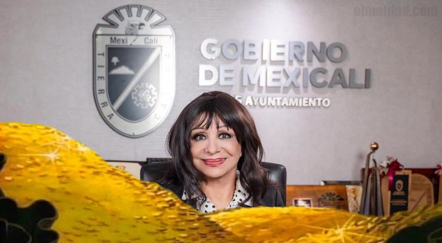 Norma Bustamante en su oficina.